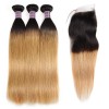 Jada Remy Virgin Human Straight Ombre Hair Bundles with Swiss Lace Closure