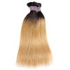 Jada Remy Virgin Human Straight Ombre Hair Bundles with Swiss Lace Closure