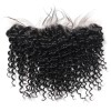 Jada Remy Malaysian Hair Extensions Deep Wave 3 Bundles Lace Frontal