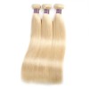 Jada Highlight Blonde Straight Brazilian Hair Extension Bundles with Lace Frontal