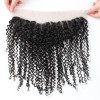 Jada Cheap Brazilian Kinky Curly Hair Bundles with Lace Frontal Weaves 3 pcs