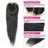 Jada Brazilian Women Straight Human Hair Bundles with Lace Closure