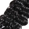 Jada Remy Malaysian Human Water Wave Hair 4 Bundles with Lace Closure