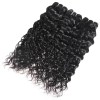 Jada Remy Malaysian Human Water Wave Hair 3 Bundles with Lace Closure