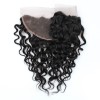 Jada Remy Malaysian Human Water Wave Hair 3 Bundles with Lace Closure