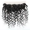 Jada Remy Malaysian Human Water Wave Hair 3 Bundles with Lace Closure