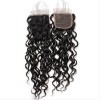 Jada Indian Natural Water Wave 4 Bundles Hair Extension Lace Closure