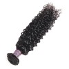 Jada Hair Indian Bundle Natural Curly Wave Hair Pieces with Lace Frontal