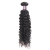 Jada 3 PC Peruvian Kinky Curly Hair Extension Bundles with Lace Closure