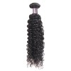 Jada DIY Sample Hair Extension Bundle Weave Curly Human Black Hair