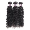 Jada Moldable 3 Bundle Mongolian Virgin Remy Human Hair Curly Weaving