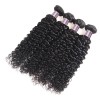 Jada Peruvian 4 Bundle Deals Natural Black Curly Human Hair Extensions